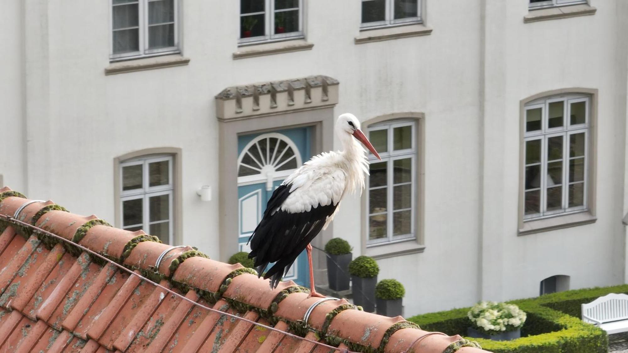 Hotel & Gaestehaus Gut Kaden Alveslohe 외부 사진